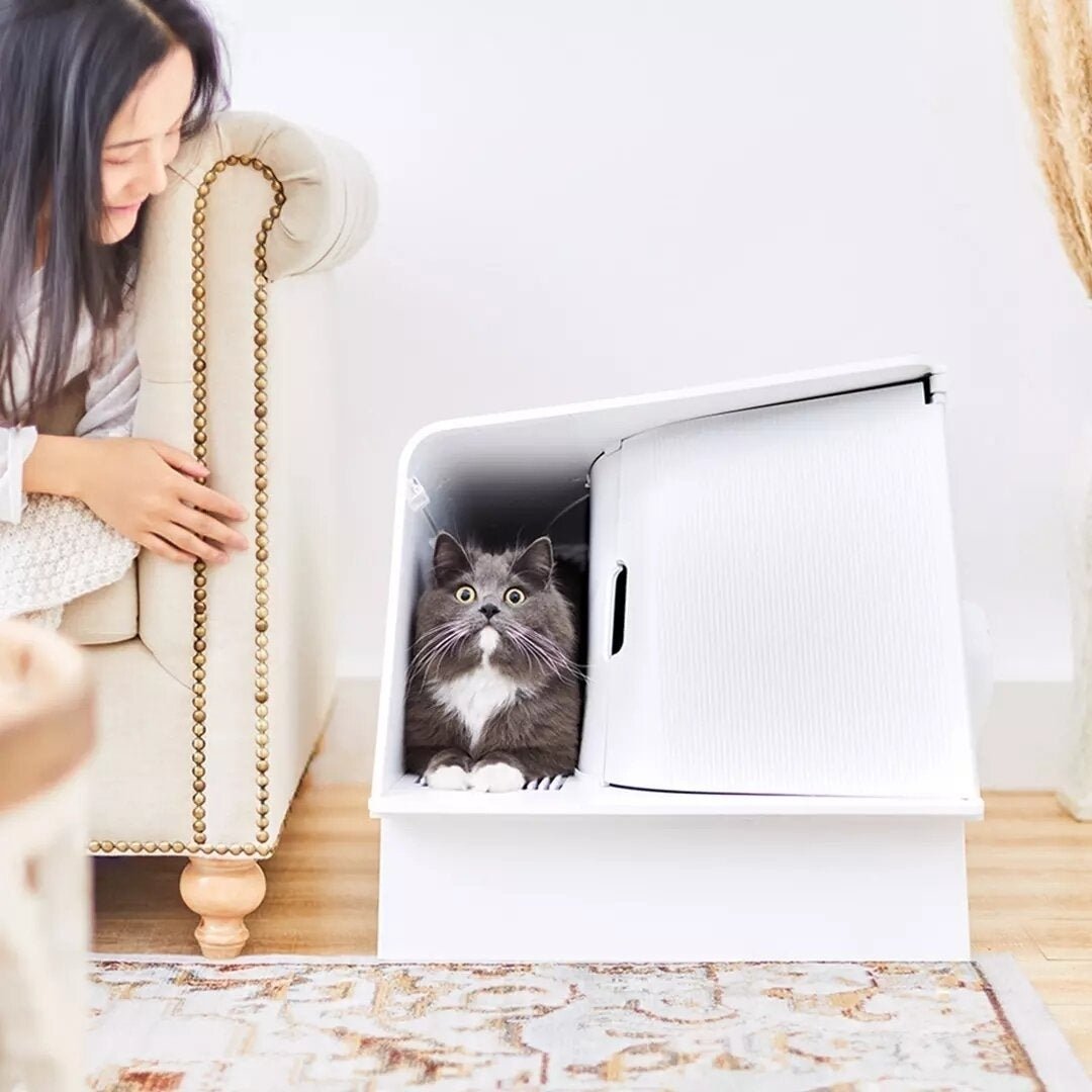 Autoxic Deodorizing Cat Litter Box Fully Enclosed Antibacterial Induction Light for Pet Image 2