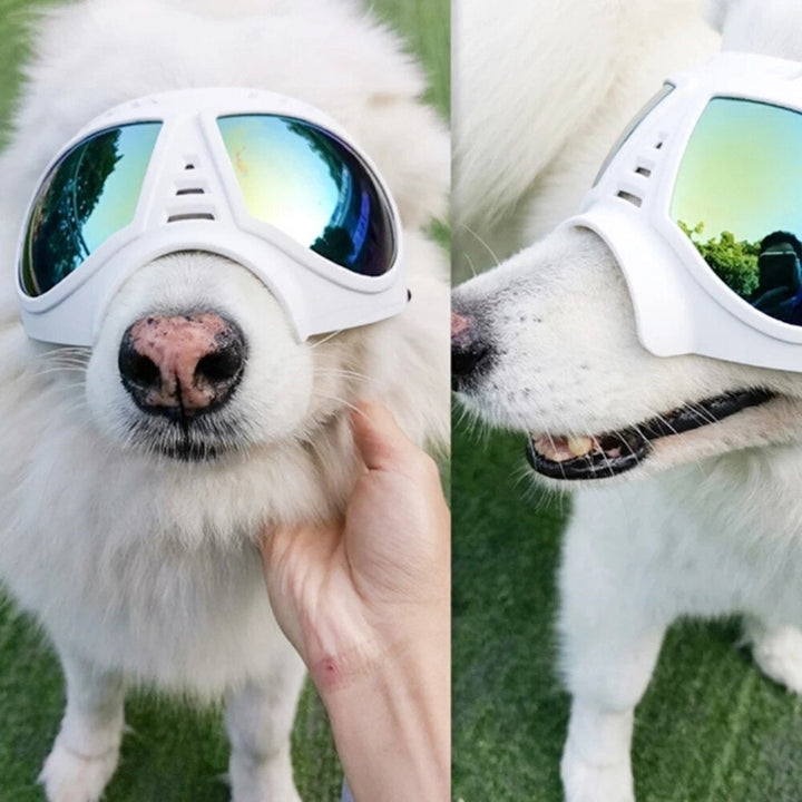 Anti-UV Pet Dog Goggles Sunglasses Sun Glasses Eye Wear Protection Waterproof Sunglasses Pet Dog Supplies Image 4