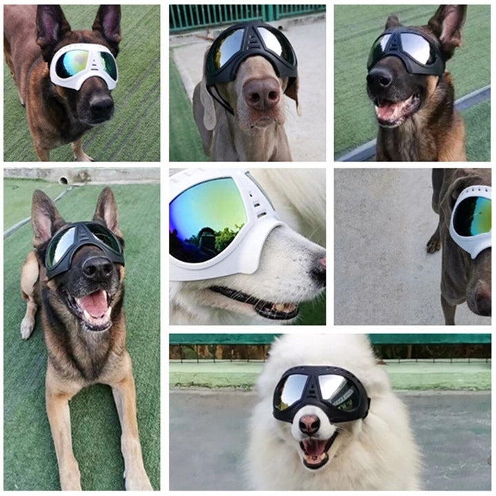 Anti-UV Pet Dog Goggles Sunglasses Sun Glasses Eye Wear Protection Waterproof Sunglasses Pet Dog Supplies Image 5