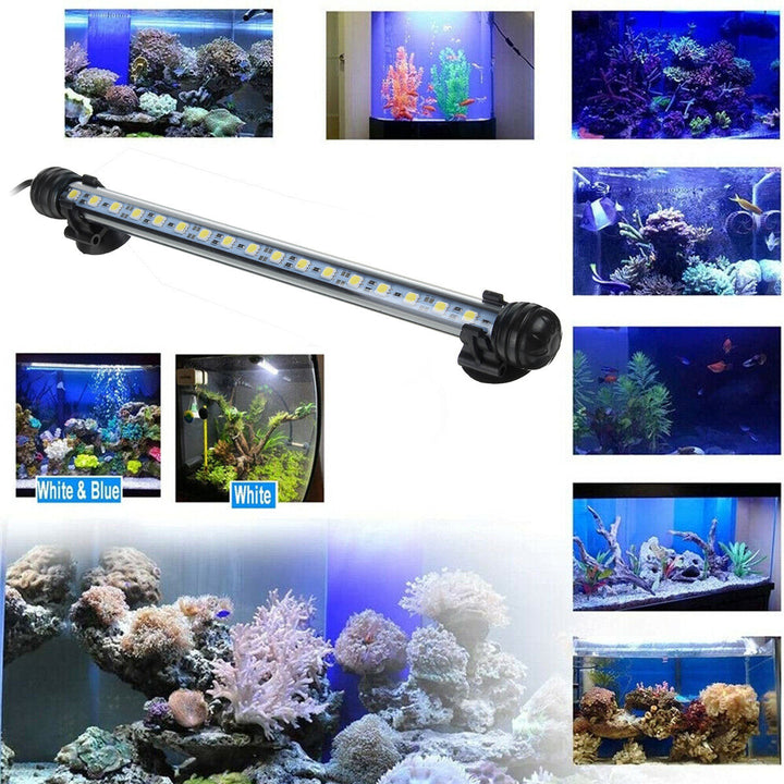 Aquarium Tank Pond LED Strip Lights Bar Lamp Submersible Lights White Blue Fish Image 5