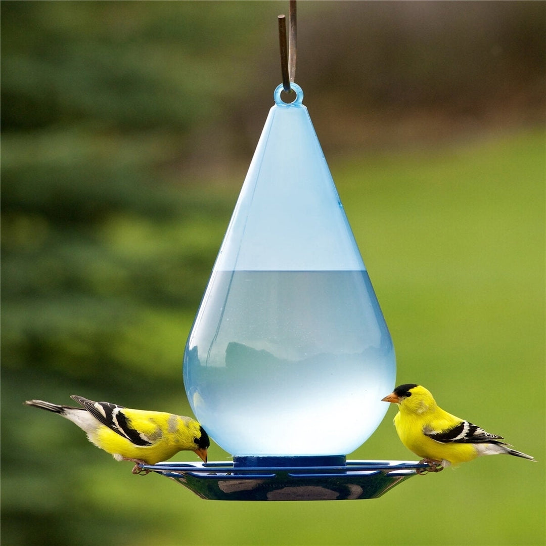 Bird Waterer Bird Feeder Hanging Wild Bird Feeder Squirrel Proof Seed Food for Yard Garden Outdoor Decoration Image 3