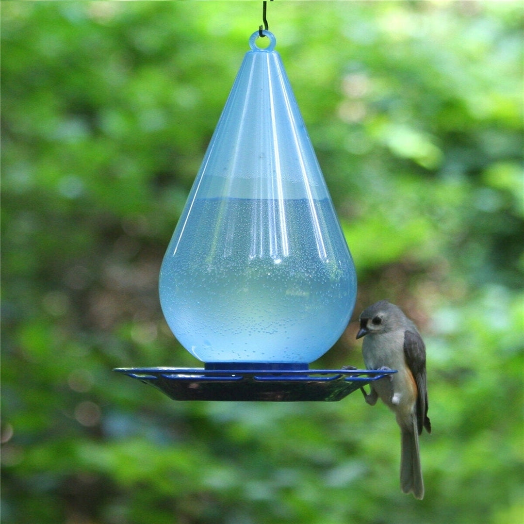 Bird Waterer Bird Feeder Hanging Wild Bird Feeder Squirrel Proof Seed Food for Yard Garden Outdoor Decoration Image 9