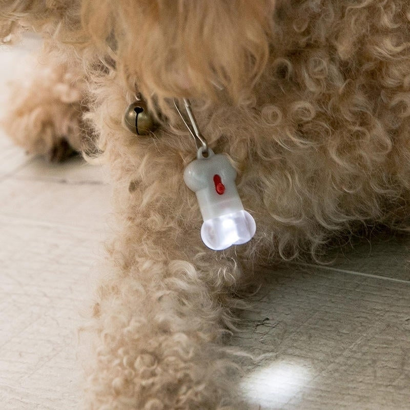 Bone Label Light Pet Tag Light Bulb Outdoor Dog Floodlight Missing Warning Light Pet Supplies Image 6