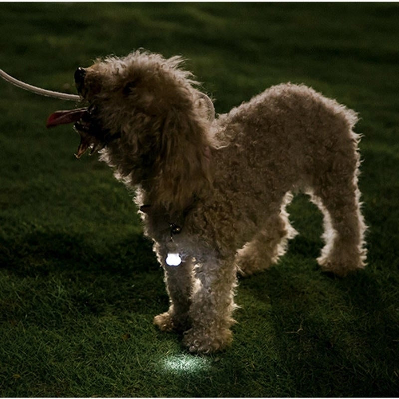 Bone Label Light Pet Tag Light Bulb Outdoor Dog Floodlight Missing Warning Light Pet Supplies Image 7