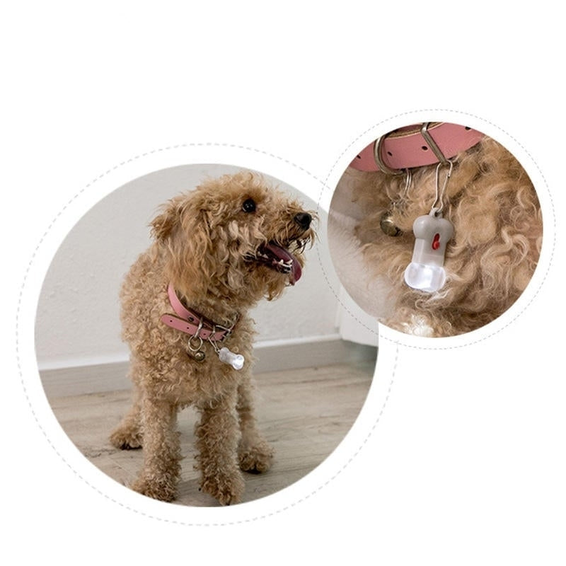 Bone Label Light Pet Tag Light Bulb Outdoor Dog Floodlight Missing Warning Light Pet Supplies Image 8