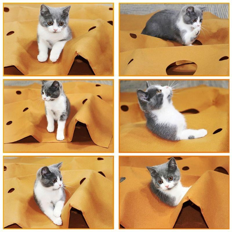 Cat Playing Mat Pet Activity Play Mats Collapsible Pets Rug Scratch Resistant Cat Litter Mat Training Mat Toys Mat Image 2