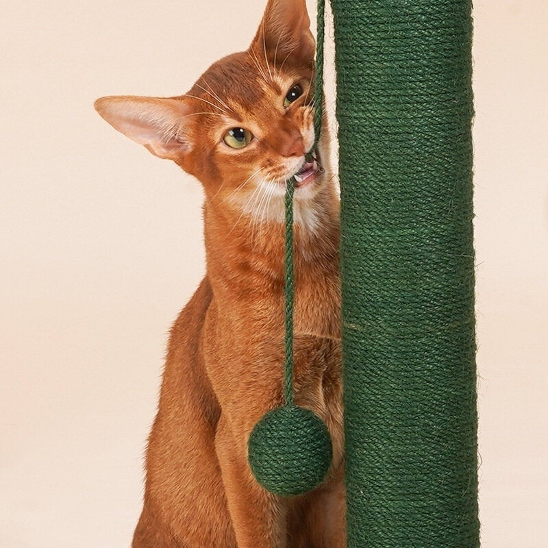 Cat Scratching Post Cactus Grab Post Grind Claws Play for Pet Image 4