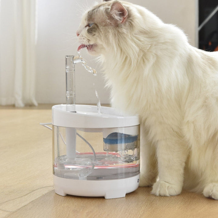 Cat Water Fountain Dog Dispenser 54oz 1.6L Autoxic Pet Drinking Transparent Upgraded Filter Adjustable Silent Pump Image 8