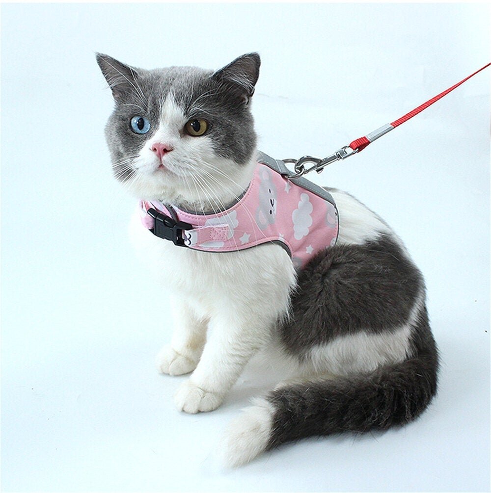 Cat Chest Strap Reflective Design Close-fitting Design Upgrade Breathable Mesh Fabric Image 3