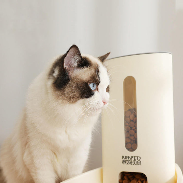 Cat Dog Automatic Feeder Pet Bowl Pet Automatic Water Dispenser Water Bowl Image 8