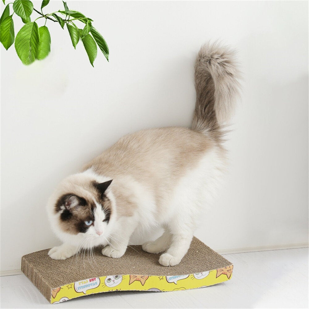 Cat Scraper Wearable Toy Cat Scratcher Cardboard Scraper for Cats Katten Scratch Board Scratching Post Claw Grinder Pet Image 3