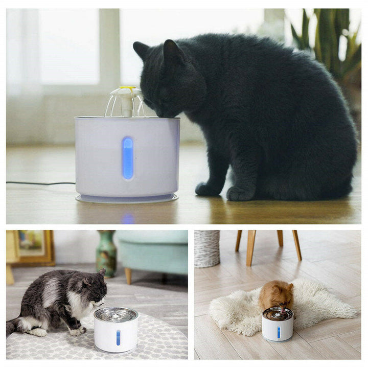 Cat Pet Water Fountain Dog Drinking Bowl Pet USB Automatic Water Dispenser Super Quiet Drinker Auto Feeder Image 10