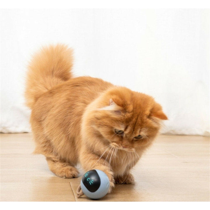 Cat Toys USB Charging Pet Balls 3 Minutes Standby Intelligent Escape Route Design for Cats Image 1