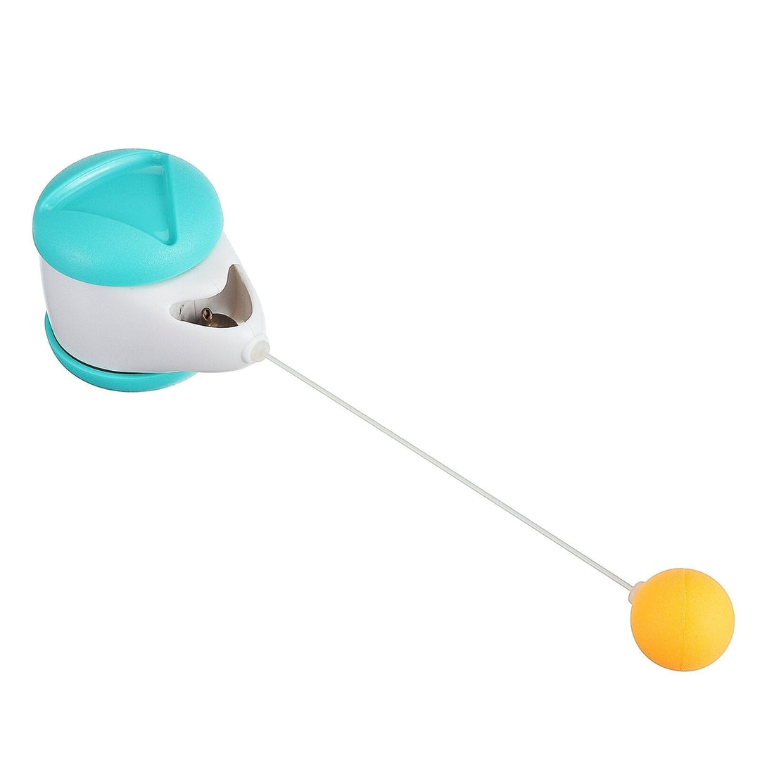 Cat Toy, 360 Tumbler Self-Spinning Toy with Catnip Ball, Interesting Interactive Toy for Puppy and Dog Image 3