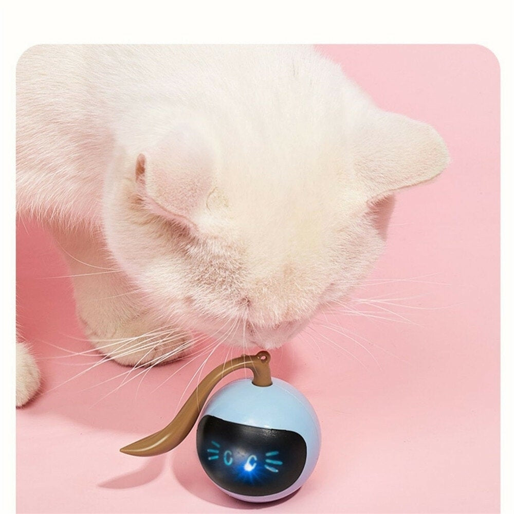 Cat Toys USB Charging Pet Balls 3 Minutes Standby Intelligent Escape Route Design for Cats Image 2