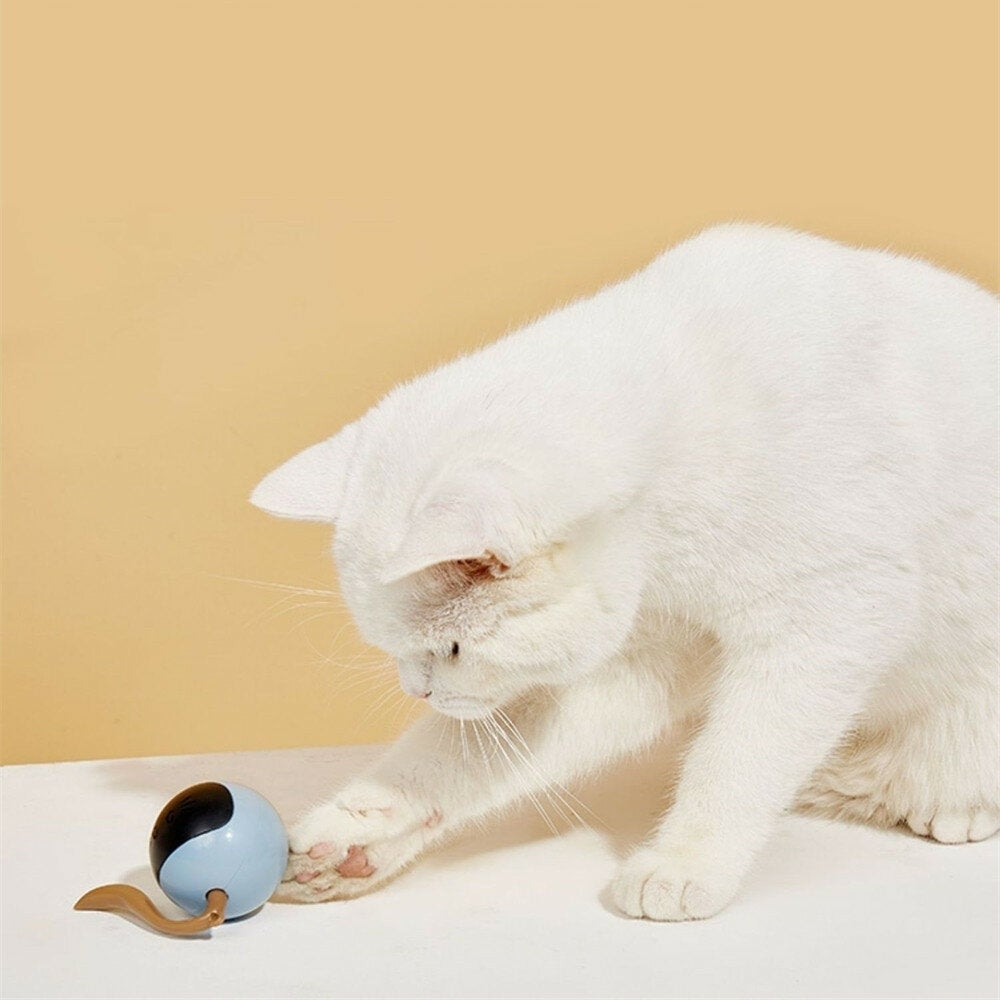 Cat Toys USB Charging Pet Balls 3 Minutes Standby Intelligent Escape Route Design for Cats Image 4