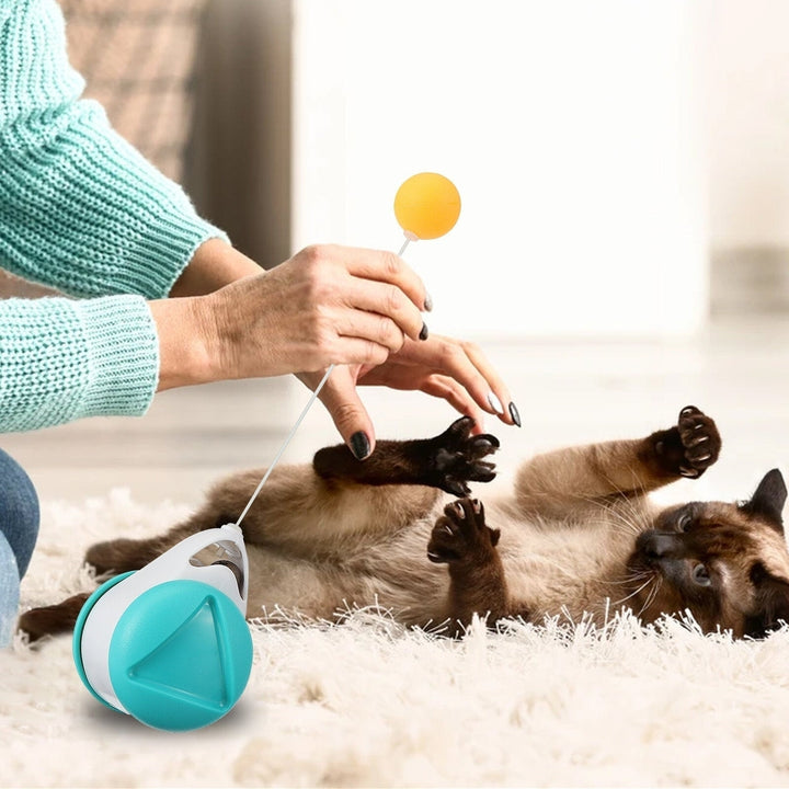 Cat Toy, 360 Tumbler Self-Spinning Toy with Catnip Ball, Interesting Interactive Toy for Puppy and Dog Image 8