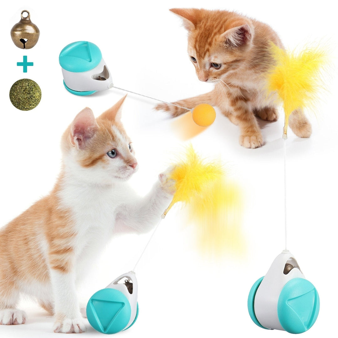 Cat Toy, 360 Tumbler Self-Spinning Toy with Catnip Ball, Interesting Interactive Toy for Puppy and Dog Image 10