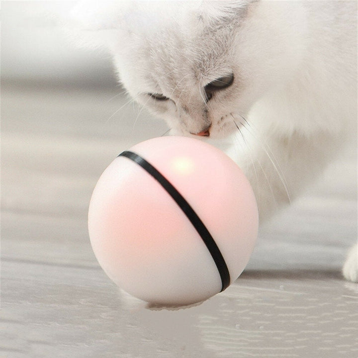 Cat Autoxic LED Flash Rolling Ball Cat toxic Direction Change Design Image 3