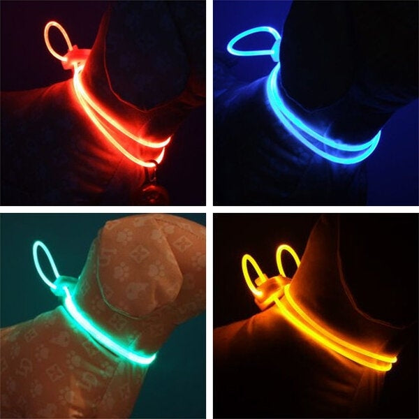 Colorful LED Pet Dog Collar Chain Luminous Light LED Dog Cat Night Light Collar Image 2