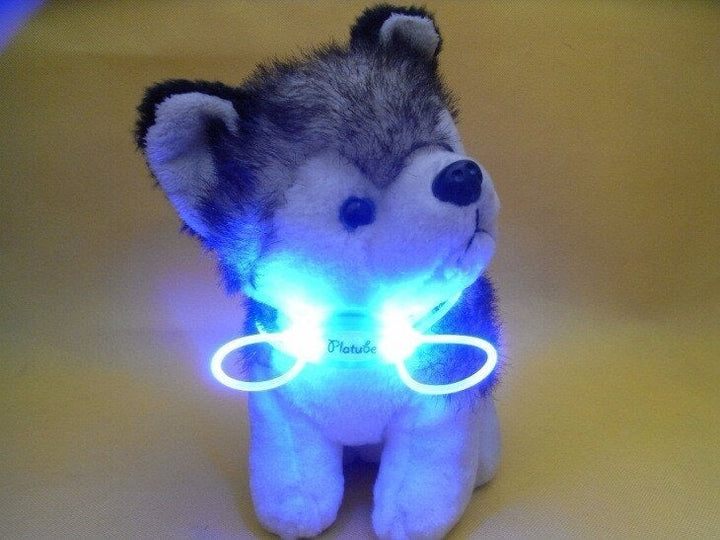 Colorful LED Pet Dog Collar Chain Luminous Light LED Dog Cat Night Light Collar Image 3