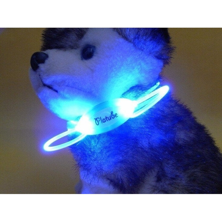 Colorful LED Pet Dog Collar Chain Luminous Light LED Dog Cat Night Light Collar Image 8