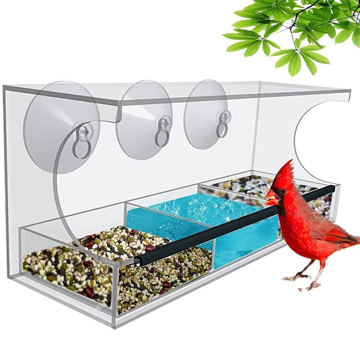 Clear House Window Bird Feeder Birdhouse With Suction Outdoor Garden Feeding Image 5