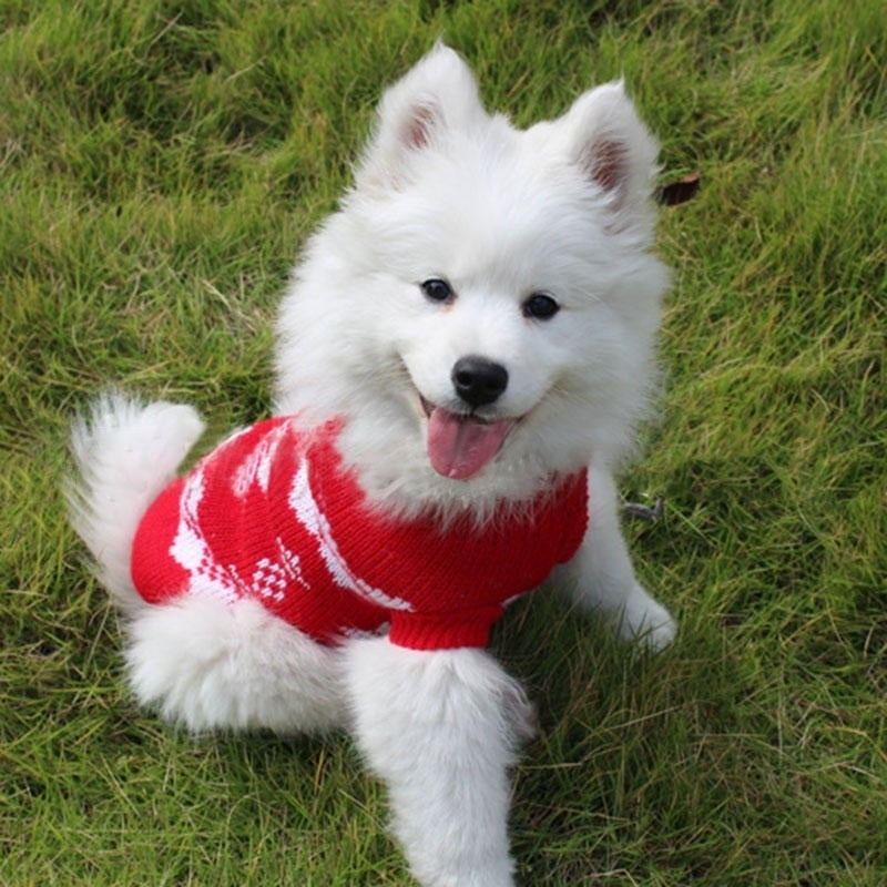 Christmas Snowflake Pet Dog Cat Autumn Winter Sweaters Warm Pullover Hoodie Costume Image 4