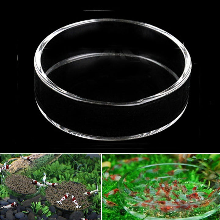 Clear Aquarium Fish Tank Glass Shrimp Feeding Food Dish Feeder Tray Fish Feeder Image 3