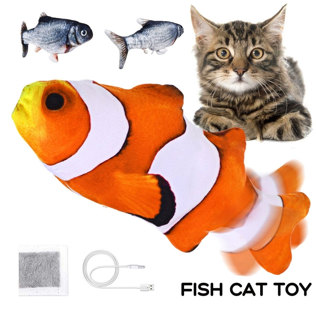 clownfish carp with catnip charging cable Catnip toy Image 1