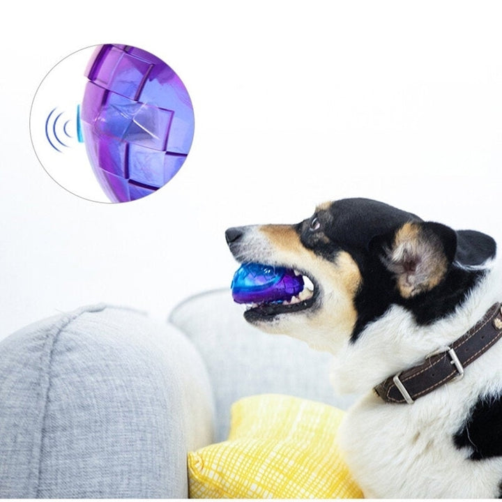 Dog Chew Toy Ball Interactive Dog Training Inflatable Grind Teeth Ball For Home Outdoor Games Image 4