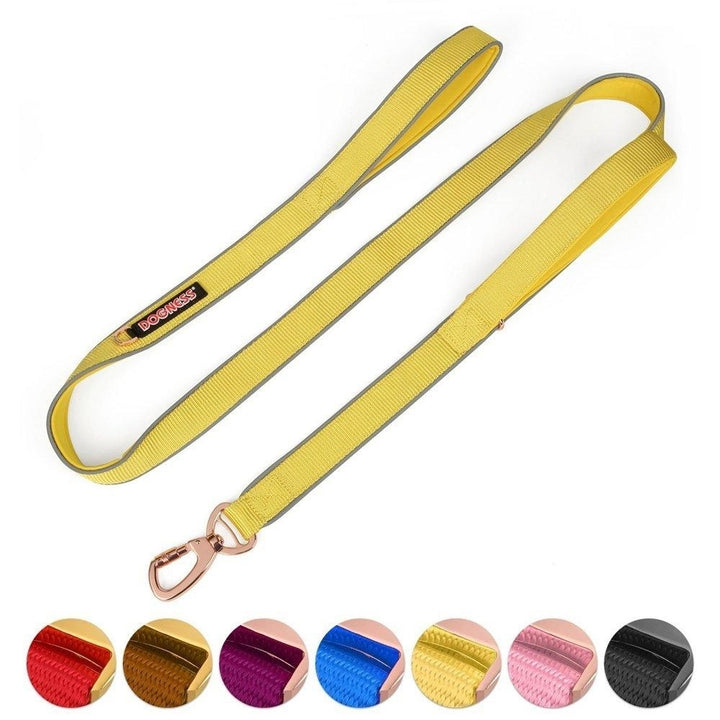 Double Handle Dog Leash Dual Handle Heavy Duty Soft Padded Reflective Nylon Dog Traction Rope Image 3