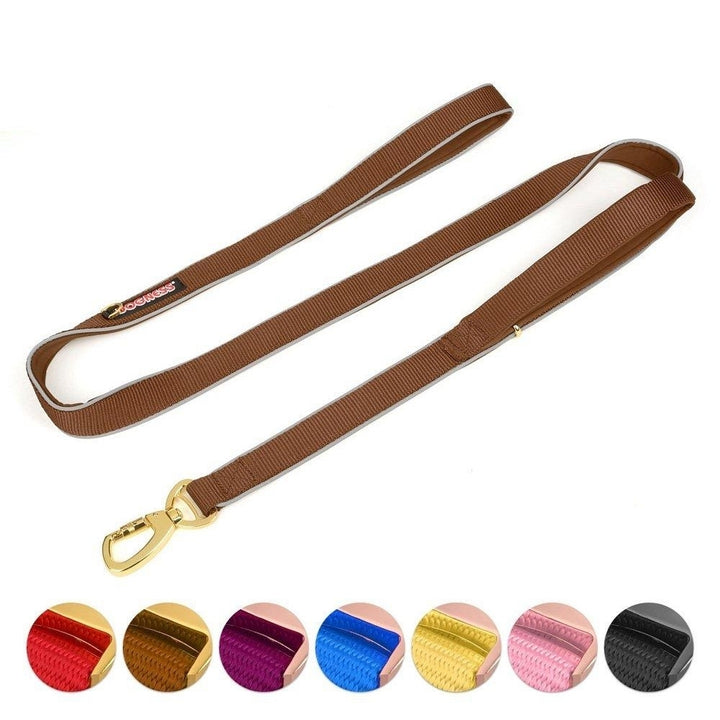 Double Handle Dog Leash Dual Handle Heavy Duty Soft Padded Reflective Nylon Dog Traction Rope Image 4