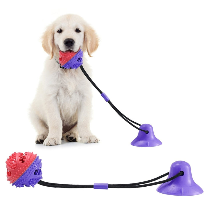 Dog Chew Toys for Aggressive Chewers Dogs Training Treats Teething Rope Toys with Suction Cup Image 1