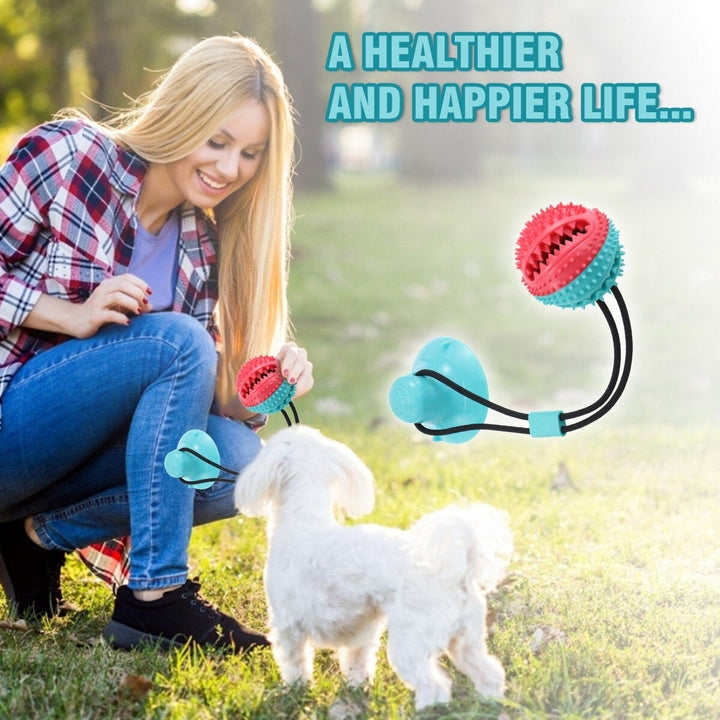 Dog Chew Toys for Aggressive Chewers Dogs Training Treats Teething Rope Toys with Suction Cup Image 8