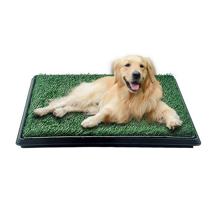 Dog toxicial Grass Puppy Pad Portable Dog Potty Image 1