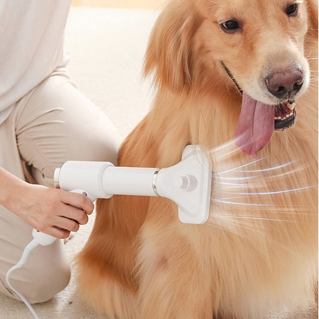 Dog Dryer 2-In-1 Dogs Hair Dryer Adjust Temperature Low Noise Pet Dryer Dog Grooming Comb Image 3