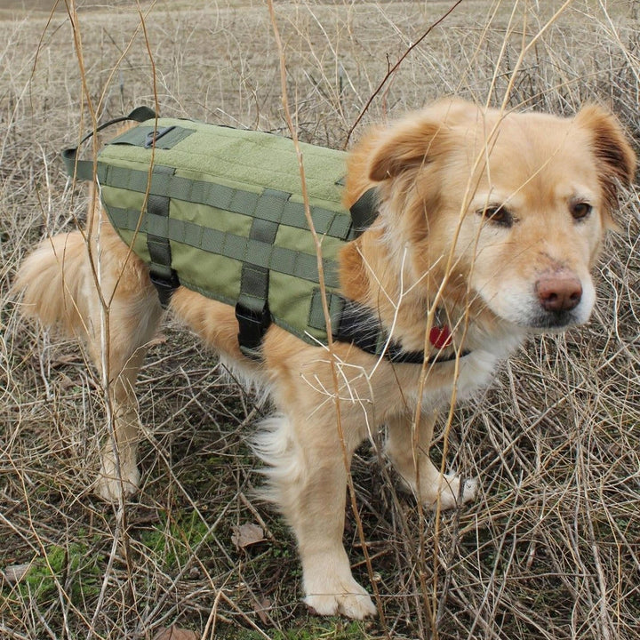 Dog Military Police Molle Vest Nylon Service Canine Dog Harness XL Image 7