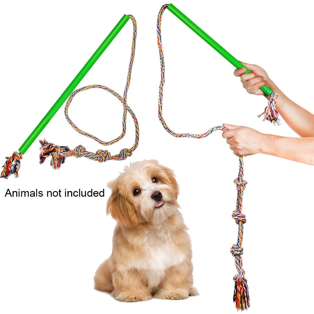 Dog Rod toxick Colorful Rotar Outdoor Extendable Funny Cat Bite Rotary Oral Care Extendable Colorful Pets Toys Image 1