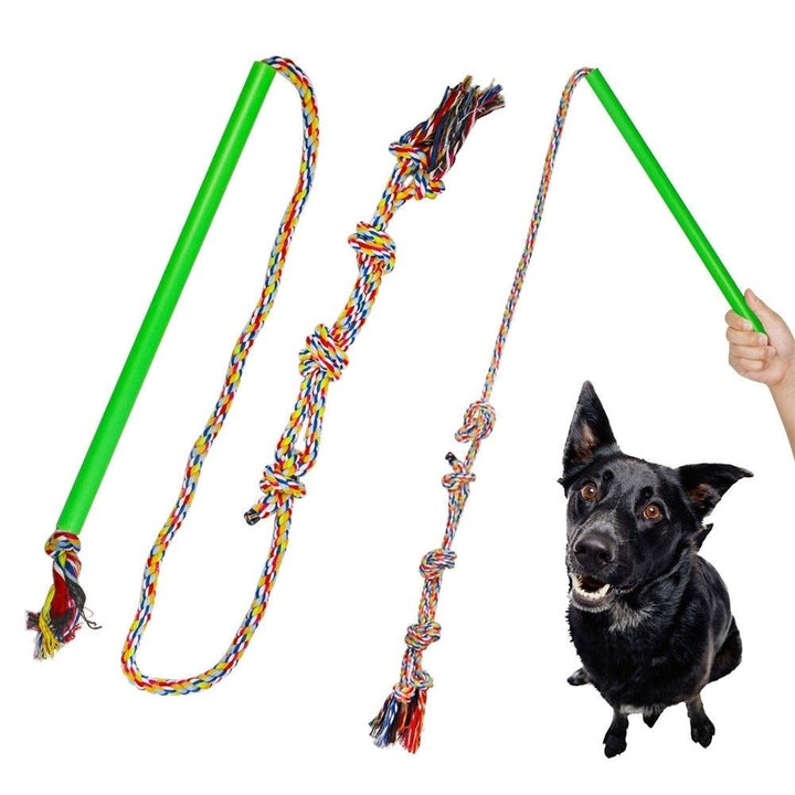 Dog Rod toxick Colorful Rotar Outdoor Extendable Funny Cat Bite Rotary Oral Care Extendable Colorful Pets Toys Image 3