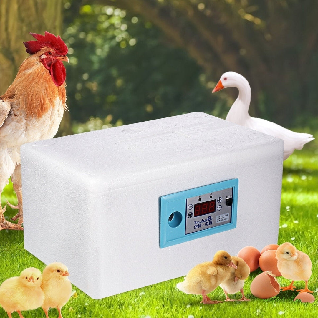 Digital Temperature Control Egg Incubatoxicken Duck Bird Pigeon Image 6