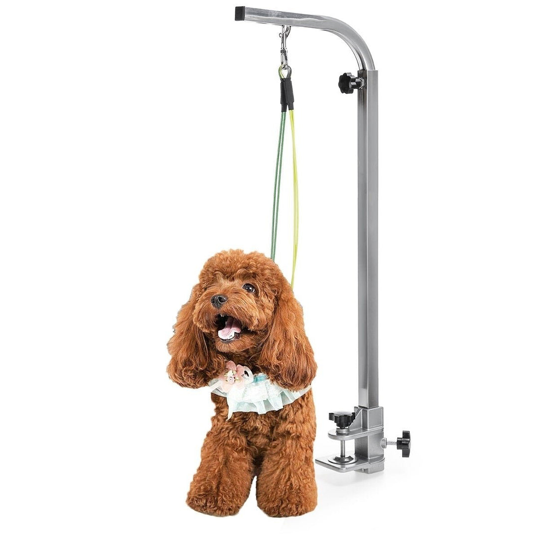 Foldable Pet Dog Grooming Bath Table Adjustable Arm Pet Beauty Desk Portable for Pet Dog Grooming Tools Image 7