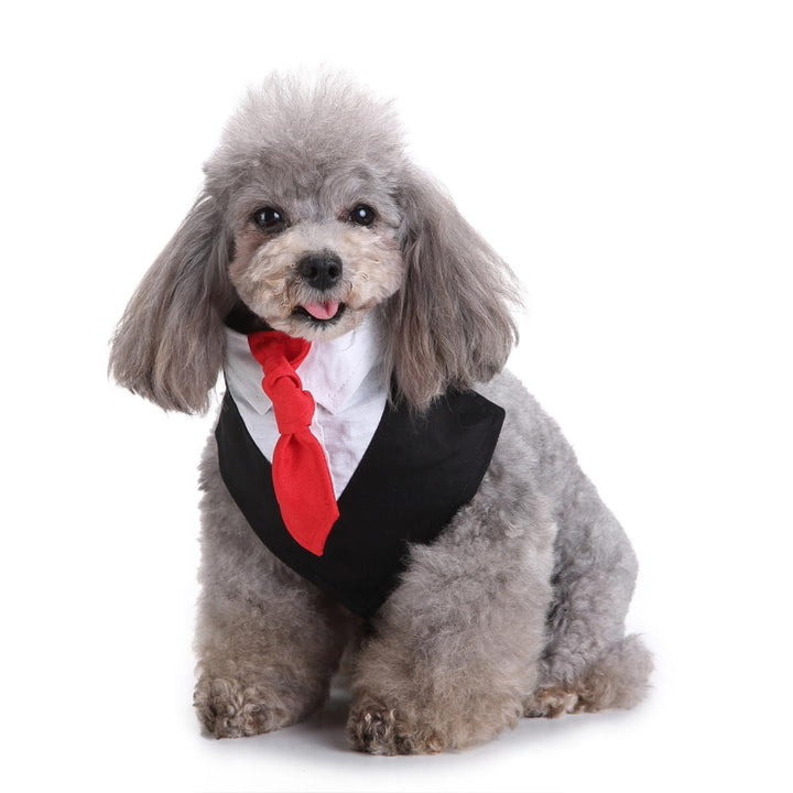 Formal Dog Tuxedo Dog Bow Tie and Neck Ties Designs Image 1