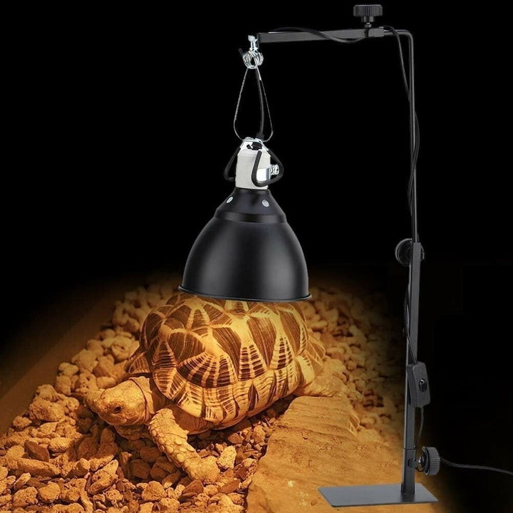 Iron Bracket Light Stand Reptile Backlight Adjustable Tortoise Lamp Holder Rack Image 7