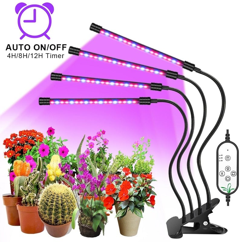 LED Grow Light USB Phyto Lamp Full Spectrum Fitolamp With Control Phytolamp For Plants Seedlings Flower Home Tent Image 1