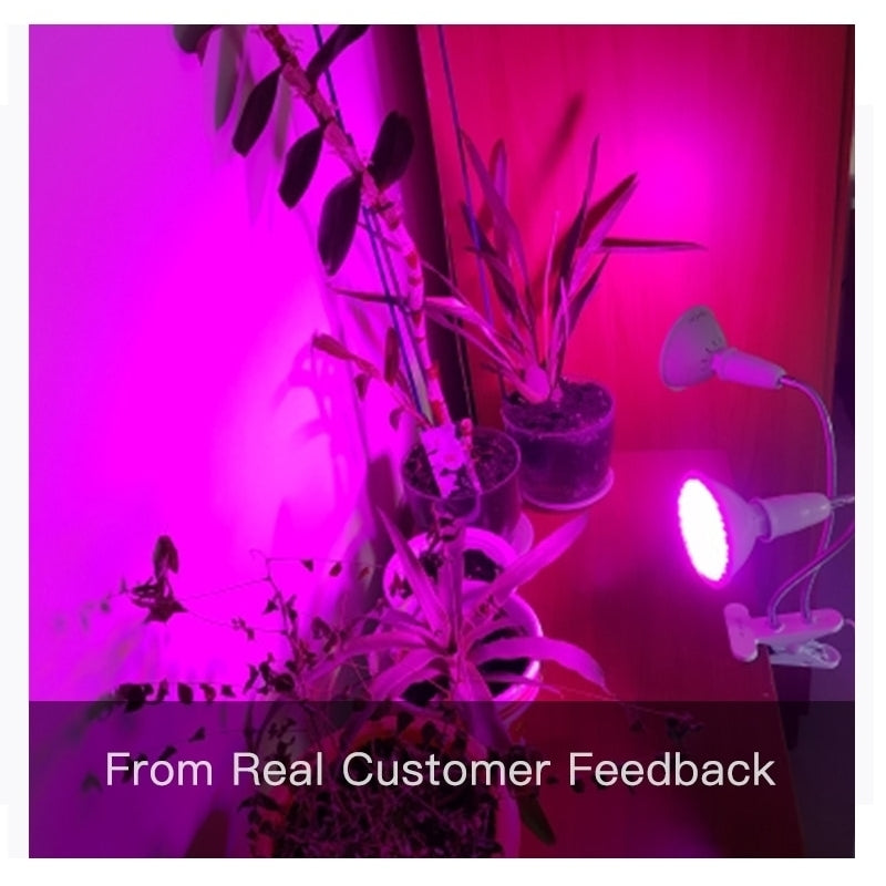 Phytolamp Full Spectrum LED Grow Light E27 Phyto Lamp for Plants Plant Seedlings Flower Fitolamp Tent Image 2