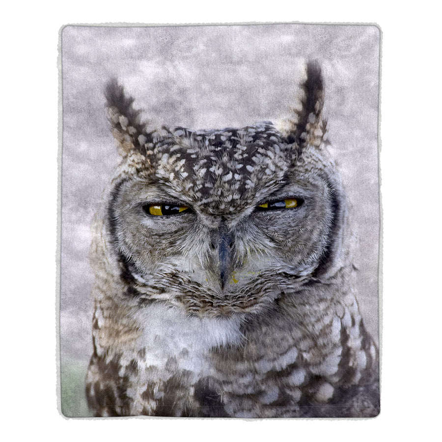 Sherpa Fleece Throw Blanket- Owl Print Lightweight Bed or Couch Soft Snuggly Image 1