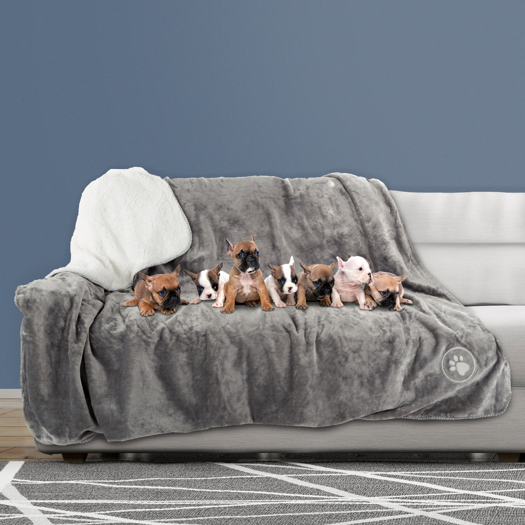 Waterproof Pet Blanket XL Throw Protects Couch Car Bed 70 x 60 Gray Image 1