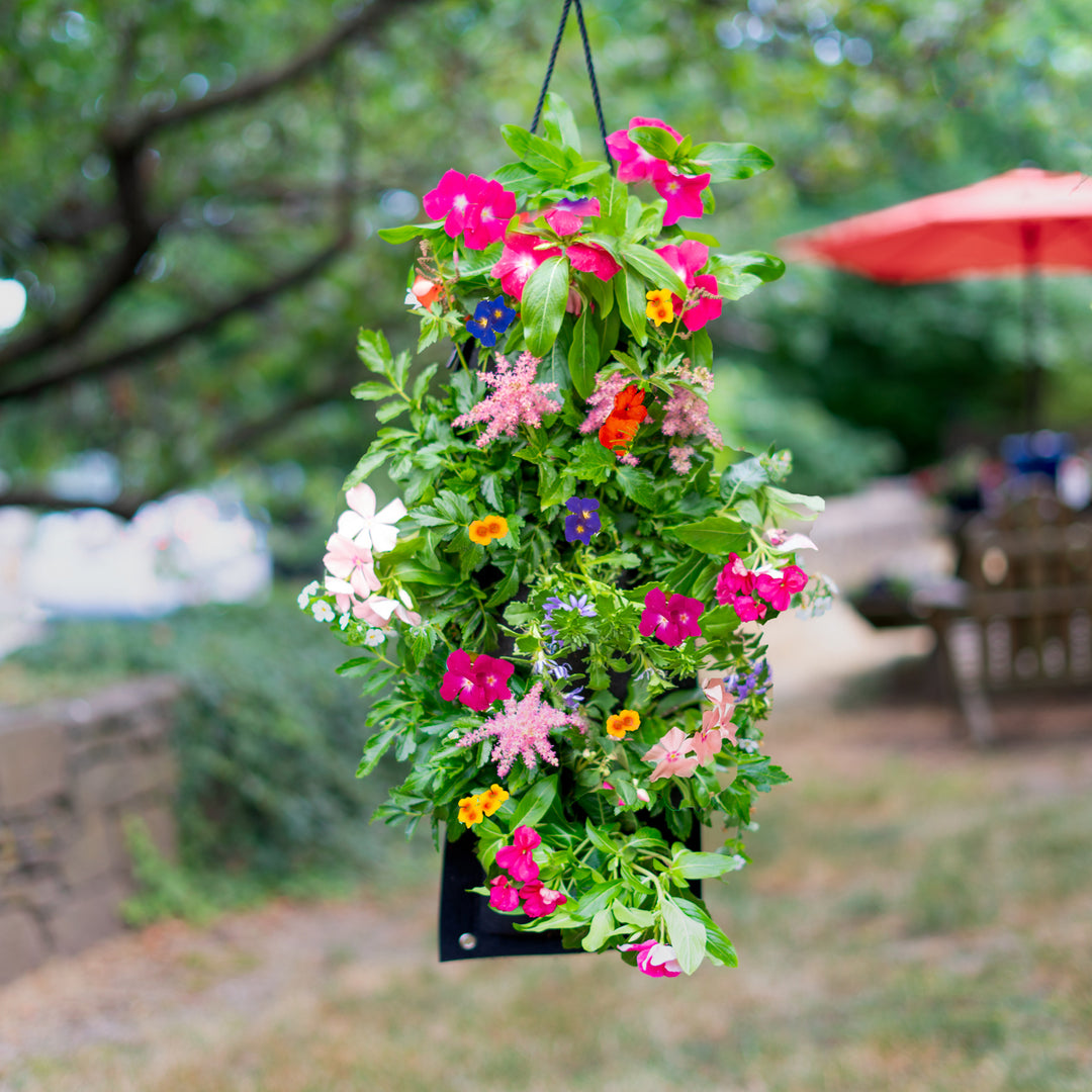 Hanging Flower Garden Seed Kit With Soil Block - 4 Options Image 4