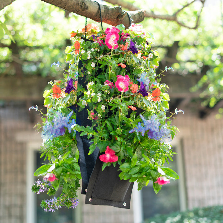 Hanging Flower Garden Seed Kit With Soil Block - 4 Options Image 9